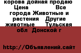 корова дойная продаю › Цена ­ 100 000 - Все города Животные и растения » Другие животные   . Тульская обл.,Донской г.